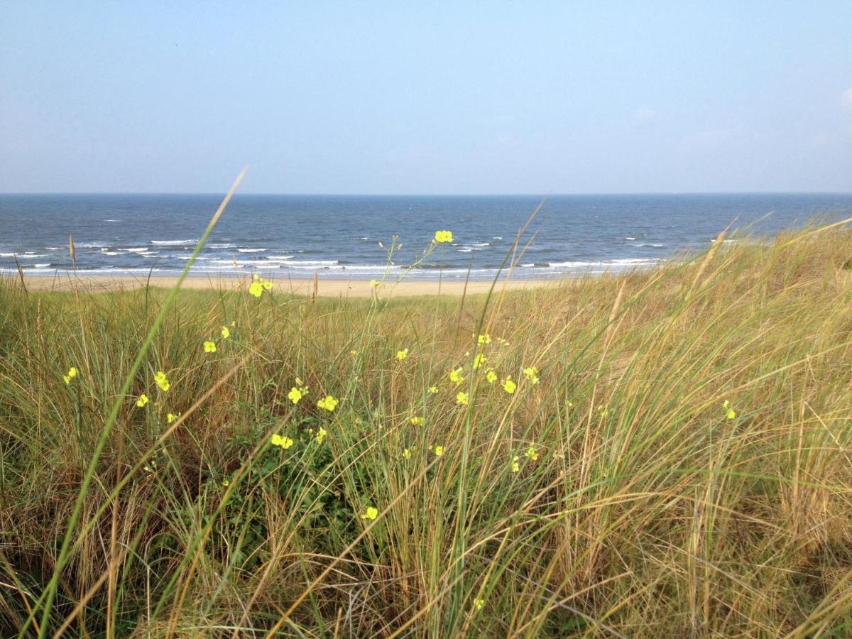 Comfortable Apartment With Sea View Bergen aan Zee Exterior photo